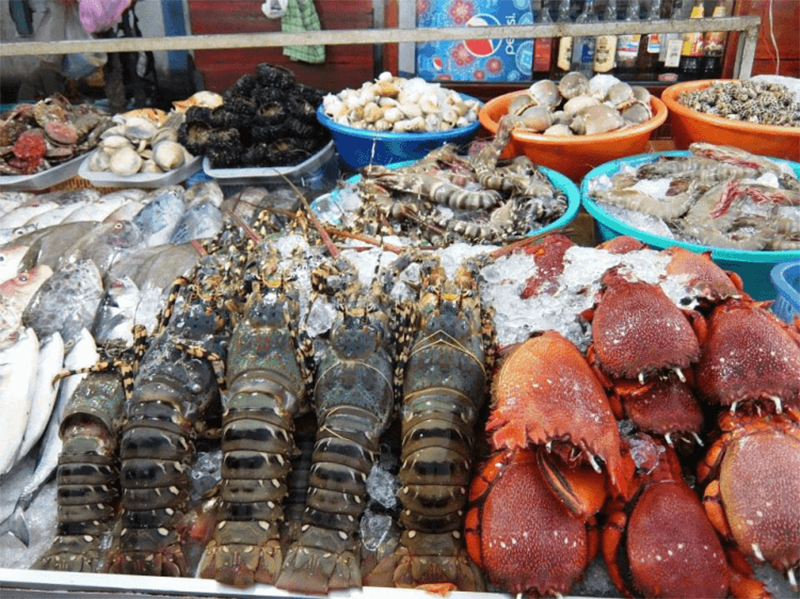 Kinh nghiệm du lịch Côn Đảo tự túc và thưởng thức hải sản